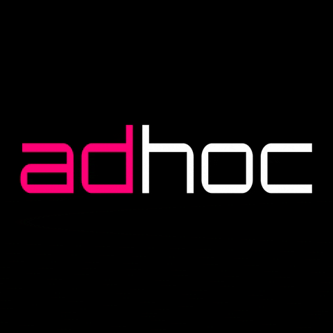Adhoc Flash GIF by immobiliareadhoc