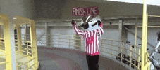 Wisconsin Badgers GIF by uwadmissions