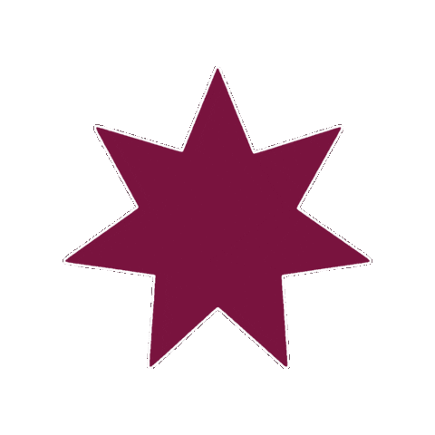Star Flag Sticker by All Jordan Youth Commission
