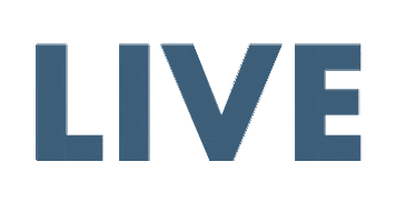 Cc Auction Sticker by Collecting Cars