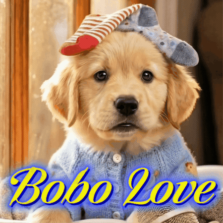 Bobo the Goldie GIF