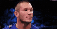 100.gif?cid=20e14a2aab6o1e9mfvq2l2rol5pulxig6geplaxeeqgjcgkz&rid=100.gif&ct=g