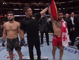 Arman Tsarukyan GIF
