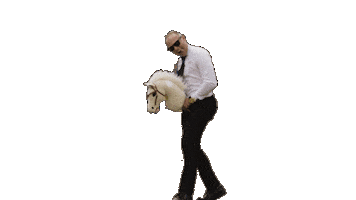 Hobbyhorse Sticker by Drakes Supermarkets