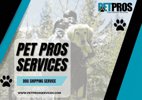 Professional Pet Services GIF