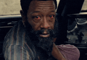 The Walking Dead Twd GIF