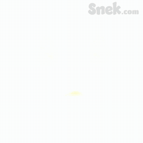 Vibes Feeling It GIF by Snek