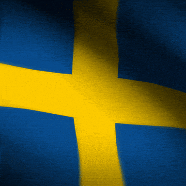 Sweden Flag Sport GIF by xponentialdesign