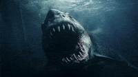 scary-great-shark-MlkQkxPGde05TO7sKa