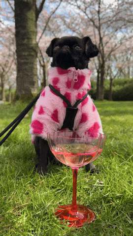 oui one GIF