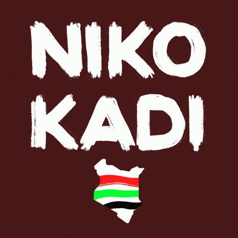 Elections Kenya GIF