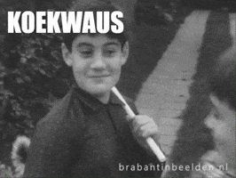 Gekkie Koekwaus GIF by BrabantinBeelden