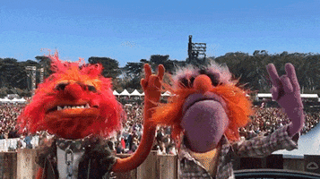 muppetwiki animal drummer muppets headbang GIF