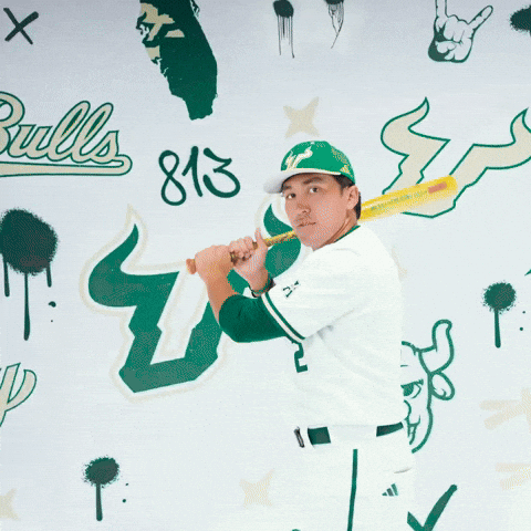 South Florida Baseball GIF by USF Athletics