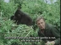 david attenborough