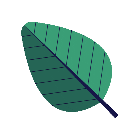 Green Sticker