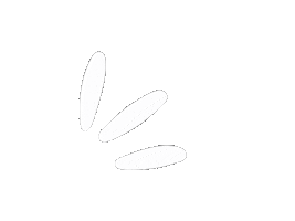 Draw Paint Sticker