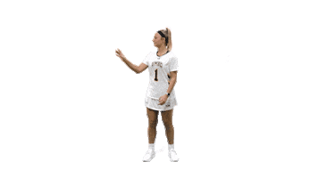 UMBC Athletics Sticker