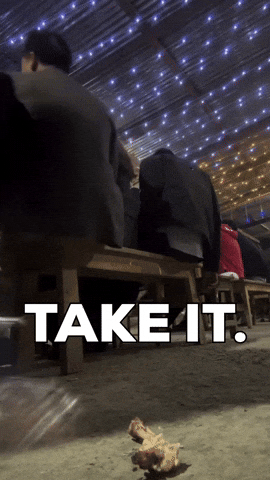 Take It Feed Me GIF