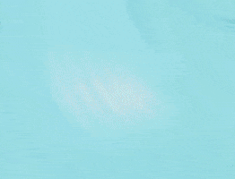 Hooked Tournament GIF