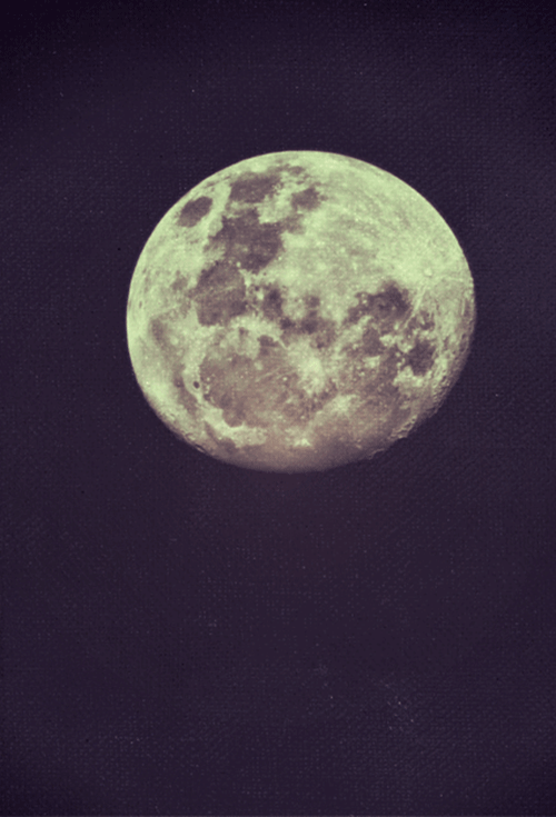Vintage Moon GIF , Find \u0026 Share on GIPHY