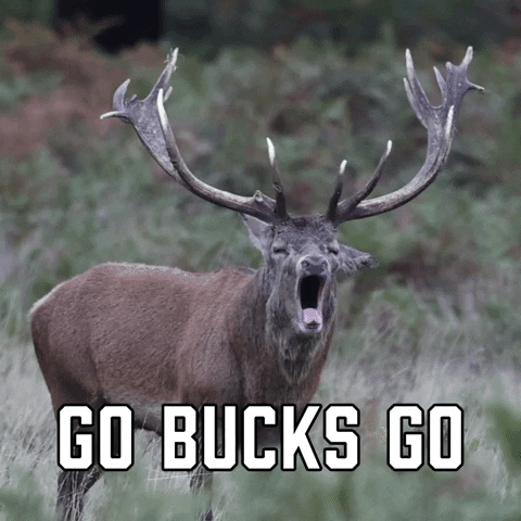 Milwaukee Bucks Sport GIF by Sealed With A GIF