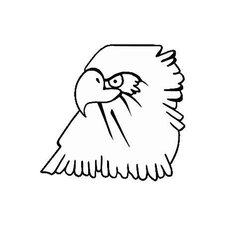 Nuevo Sticker