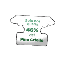 Sticker by Pino Criollo
