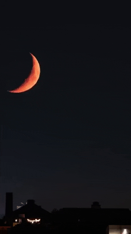Crescent Moon GIF by Storyful
