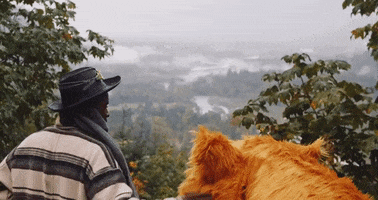 Descendant Of Zack Taylor GIF