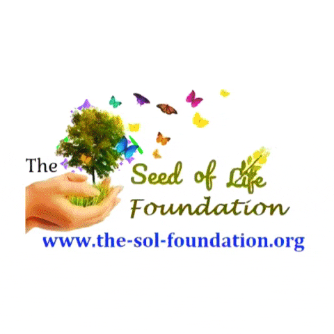 Plant Education GIF by The Seed of Life Foundation