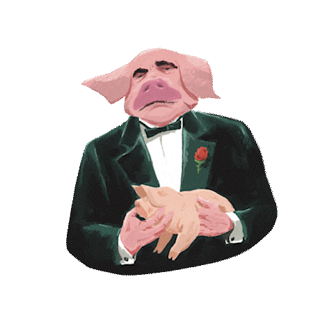 Beer Cerveza Sticker by Piggy