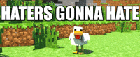 Minecraft Parrot Gifs Get The Best Gif On Giphy