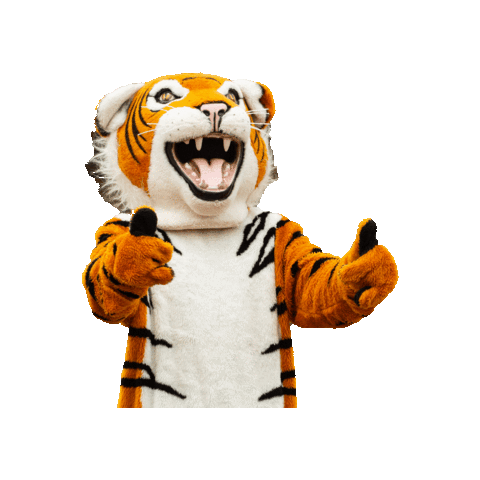 4,540 Tigers Mascot Stock Photos, High-Res Pictures, and Images - Getty  Images