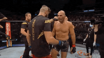 Glover Teixeira Fighting GIF by UFC
