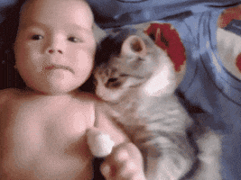 nuzzling human baby GIF