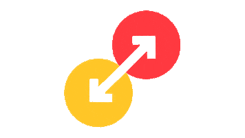 Trash Panda Disc Golf Sticker