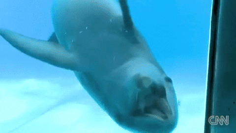 time mirror GIF