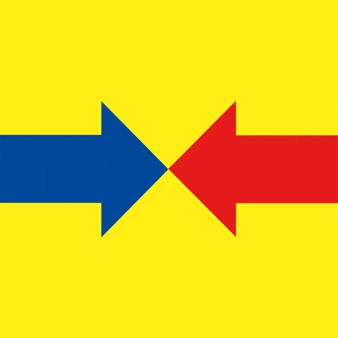 BG_Dornbirn GIF