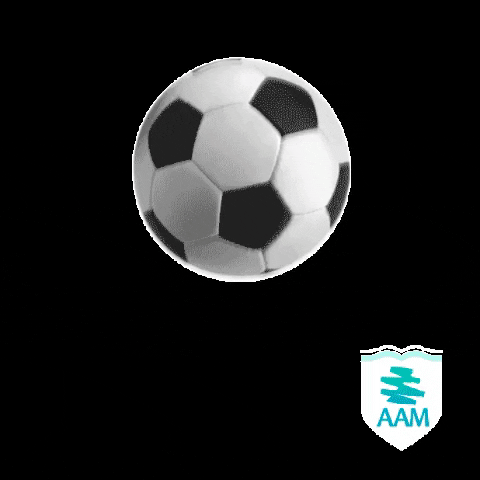 soccer ball GIF by AAM