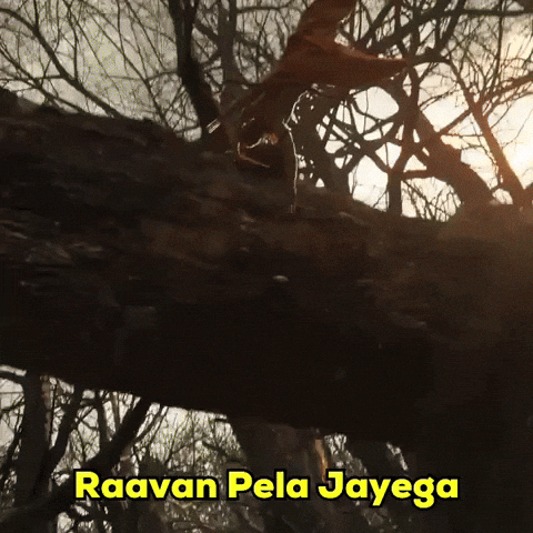 Ranbir Kapoor GIF