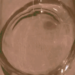 foam