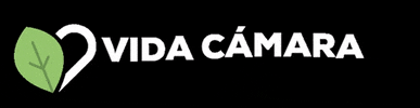 Vida Cámara GIF