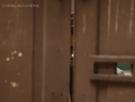 Dt GIF
