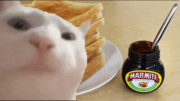 Marmite GIF by Foodies