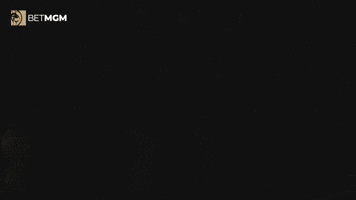 BetMGM GIF