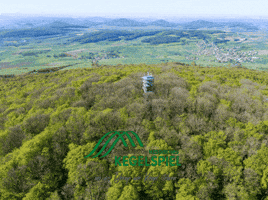 GIF by Hessisches Kegelspiel