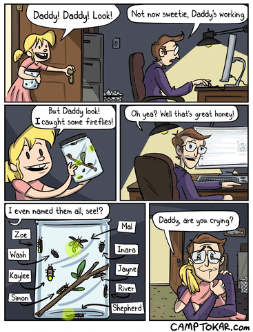 fireflies