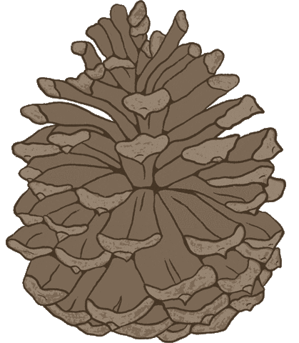 Forest Sticker