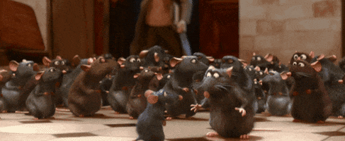 Rats Ratatouille GIF by Disney Pixar
